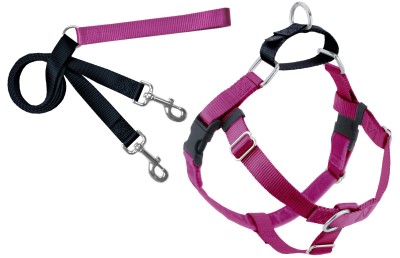2 Hounds Design Dog Harness & Leash - Freedom No Pull, Combo Berry