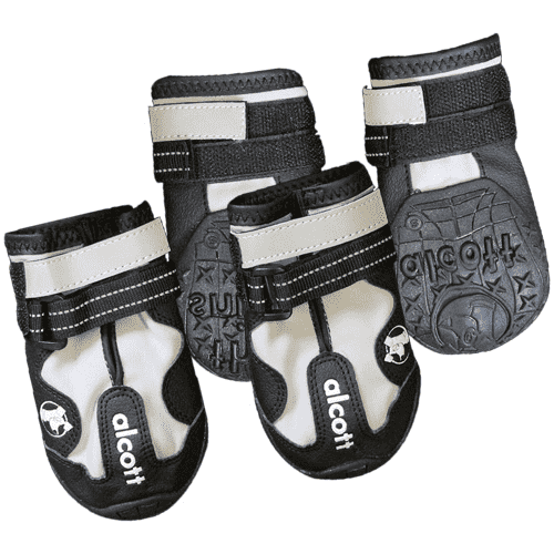 Dog Adventure Boots