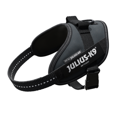 Dog Harness