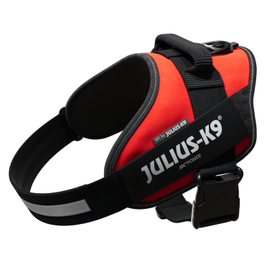 Dog Harness