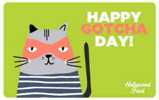 Hollywood Feed eGift Card-Gotcha Cat