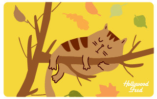 Hollywood Feed eGift Card-Fall Cat Nap