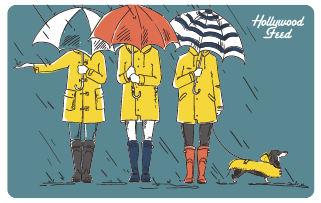 Hollywood Feed eGift Card-Fall Rain