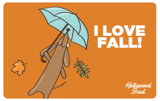 Hollywood Feed eGift Card-Fall Love