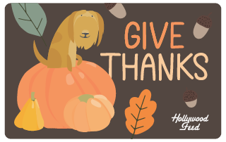 Hollywood Feed eGift Card-Give Thanks