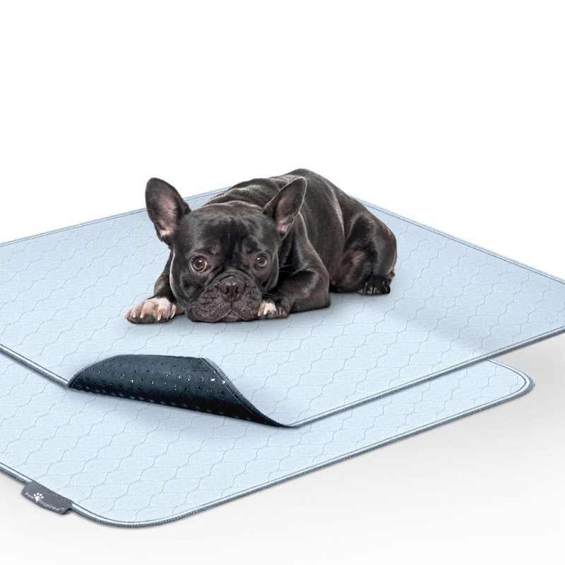 Paw Inspired Washable Dog Pads - Reusable Waterproof Training Pee Pads with Anti Slip Backing-2 Pack
