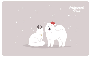 Hollywood Feed eGift Card-Let It Snow