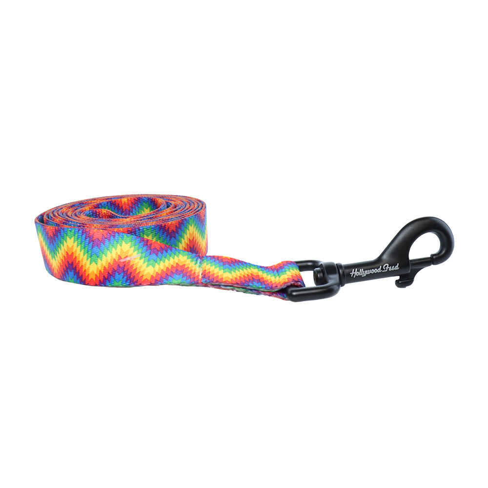 Ohio Made Dog Leash - Rainbow