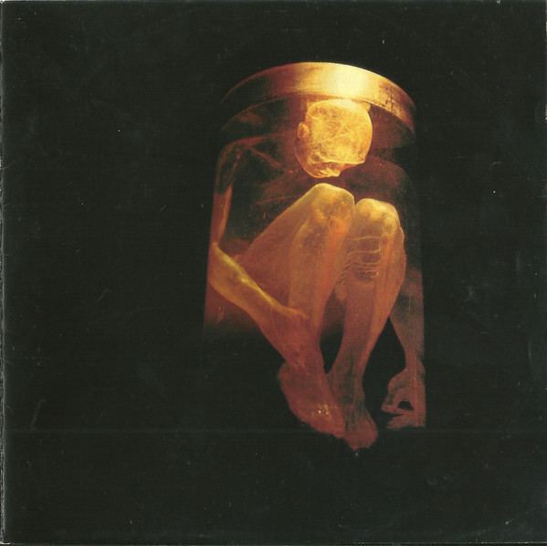 Alice In Chains/Nothing Safe - The Best Of The Box