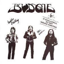 Budgie/If Swallowed Do Not Induce Vom@Import-Gbr