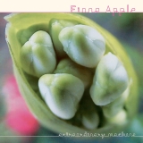 Fiona Apple/Extraordinary Machine@2LP