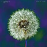 The Bevis Frond/Focus on Nature (PURPLE VINYL)@2LP w/ download card