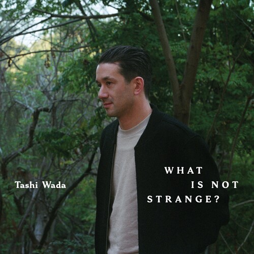 Tashi Wada/What Is Not Strange