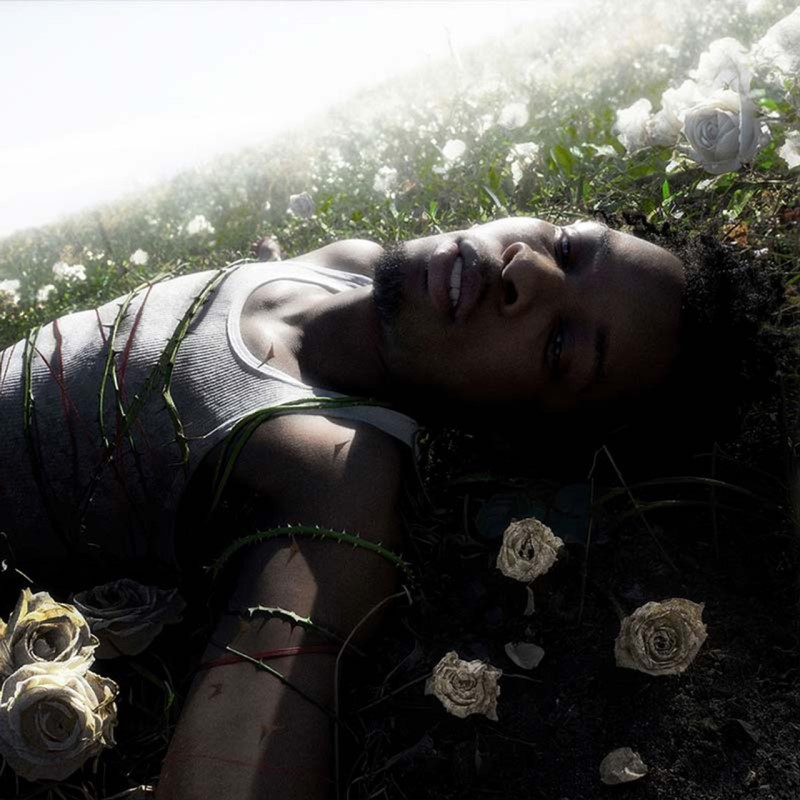 D4VD/Withered ( White W/ Black Splatter) Signed Insert