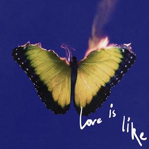 Maroon 5/Love Is Like [SIGNED Electric Blue Vinyl]@Indie Exclusive