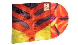 Yeah Yeah Yeahs/Show Your Bones (Orange, Yellow & Purple Marble Vinyl)