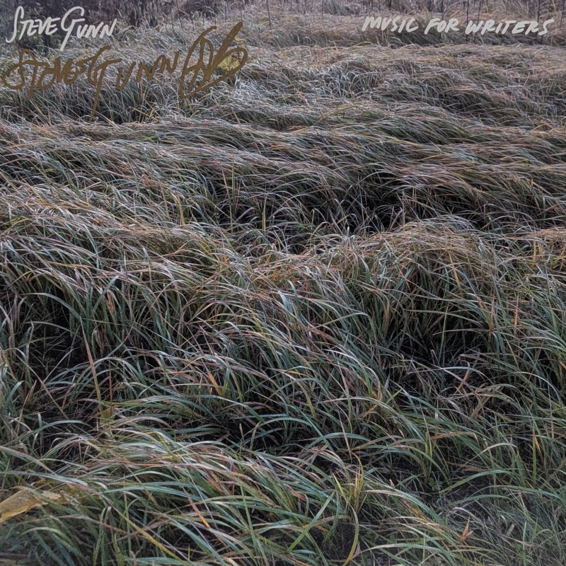 *SIGNED* Steve Gunn/Music For Writers