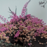 *SIGNED* Jay Som/Turn Into (Light Blue Vinyl)