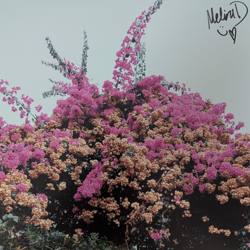 *SIGNED* Jay Som/Turn Into (Light Blue Vinyl)