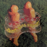 *SIGNED* The Beths/Jump Rope Gazers ('BEAM OF LIGHT' ORANGE ON CLEAR VINYL)