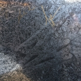 *SIGNED* Say She She/Silver