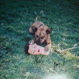 *SIGNED* Joyce Manor/Cody