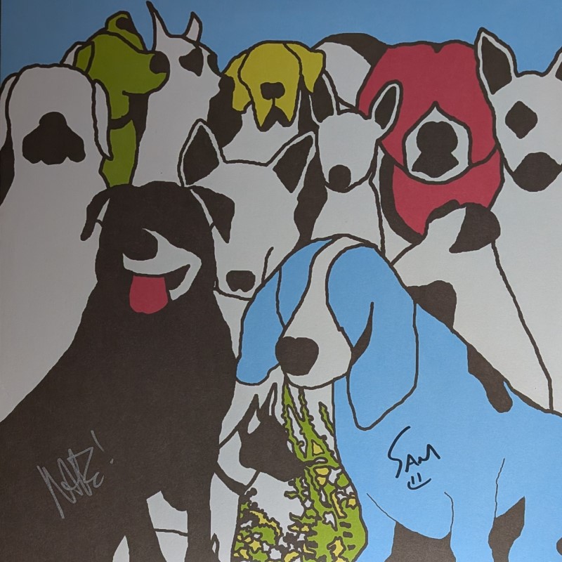 *SIGNED* The Format/Dog Problems (Magenta Vinyl)