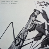 *SIGNED* Courtney Barnett/Creature Of Habit (Another Beautiful Day Caramel Vinyl)