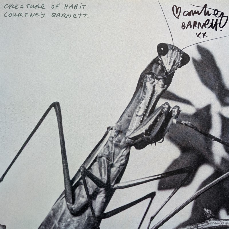 *SIGNED* Courtney Barnett/Creature Of Habit (Another Beautiful Day Caramel Vinyl)