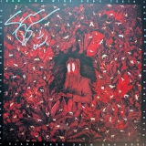 *SIGNED* Iron and Wine/Hen's Teeth (Transparent White Vinyl)