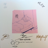 *SIGNED* Teen Suicide/DC Snuff Film / Waste Yrself (Pink Marble vinyl)
