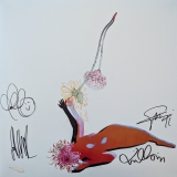 *SIGNED* Future Islands/The Far Field