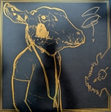 *SIGNED* Shakey Graves/Roll The Bones X (10th Anniversary Edition) (Black & Gold Nugget Vinyl)