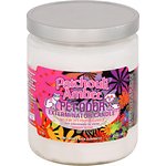 Pet Odor Exterminator Patchouli Amber Deodorizing Candle