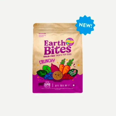 Earthborn Holistic EarthBites Grain Free Treats for Dogs Crunchy Lamb Meal Recipe