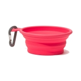 Messy Mutts Silicone Collapsible Dog Bowl-Watermelon