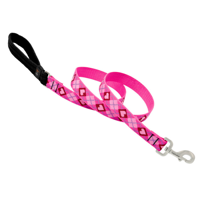 Lupine Pet Original Designs Dog Leash-Puppy Love