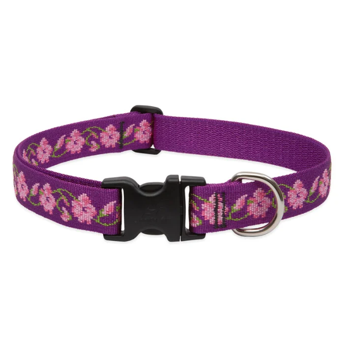Lupine Pet Original Designs Adjustable Dog Collar-Rose Garden