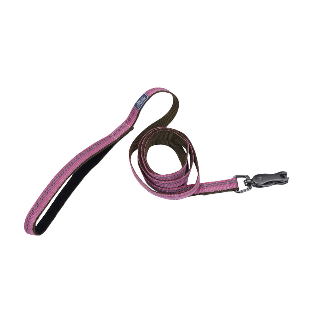 Coastal K9 Explorer Reflective Dog Leash with Scissor Snap-Rosebud