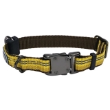 Coastal K9 Explorer Reflective Adjustable Dog Collar-Goldenrod