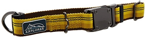 Coastal K9 Explorer Reflective Adjustable Dog Collar-Goldenrod