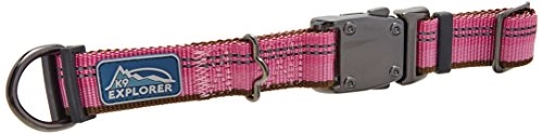 Coastal K9 Explorer Reflective Adjustable Dog Collar-Rosebud