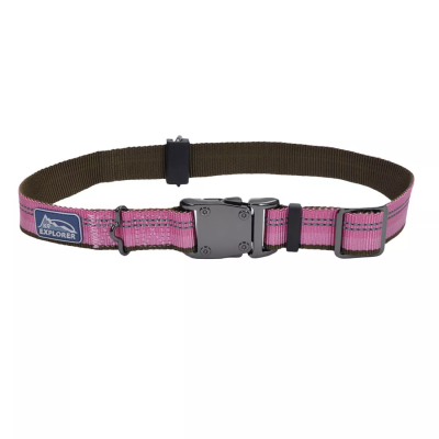 Coastal K9 Explorer Reflective Adjustable Dog Collar-Rosebud