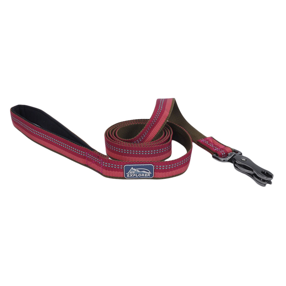 Coastal K9 Explorer Reflective Dog Leash with Scissor Snap-Berry