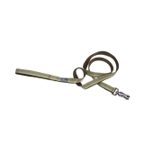Coastal K9 Explorer Reflective Dog Leash with Scissor Snap-Fern