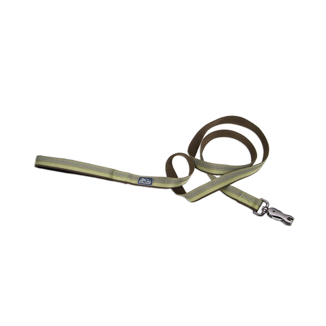 Coastal K9 Explorer Reflective Dog Leash with Scissor Snap-Fern