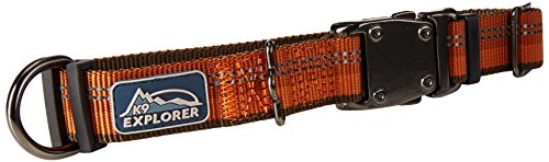Coastal K9 Explorer Reflective Adjustable Dog Collar-Campfire Orange