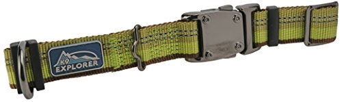 Coastal K9 Explorer Reflective Adjustable Dog Collar-Fern