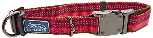 Coastal K9 Explorer Reflective Adjustable Dog Collar-Berry