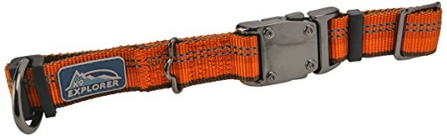 Coastal K9 Explorer Reflective Adjustable Dog Collar-Campfire Orange